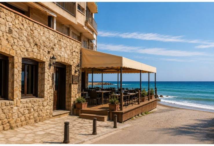 Restaurant - Transfer - Torrevieja -
                Centro