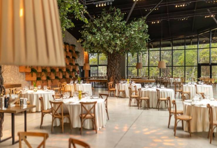 Restaurant - Transfer - Benijofar -
                Benijofar